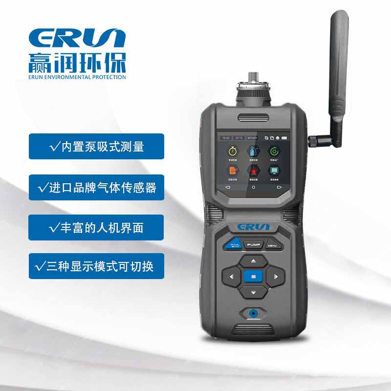 手持式泵吸型非甲烷總烴C2-C12氣體報(bào)警儀